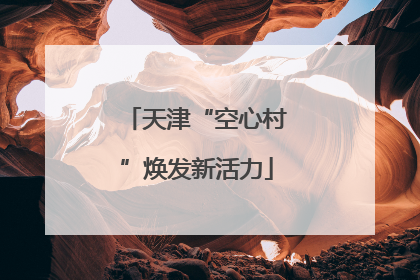 天津“空心村”焕发新活力