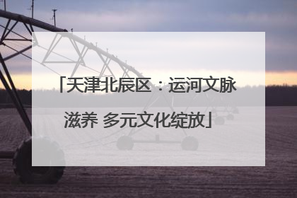 天津北辰区：运河文脉滋养 多元文化绽放