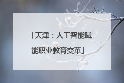 天津：人工智能赋能职业教育变革