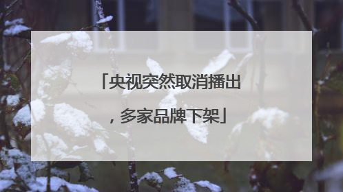 央视突然取消播出，多家品牌下架