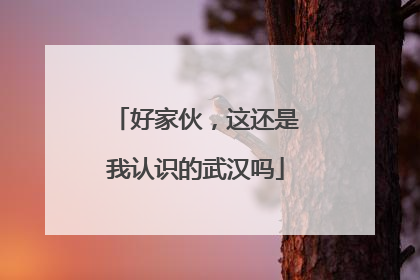 好家伙，这还是我认识的武汉吗