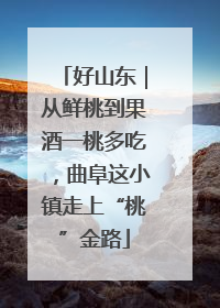 好山东｜从鲜桃到果酒一桃多吃，曲阜这小镇走上“桃”金路