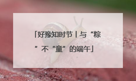 好豫知时节丨与“粽”不“童”的端午