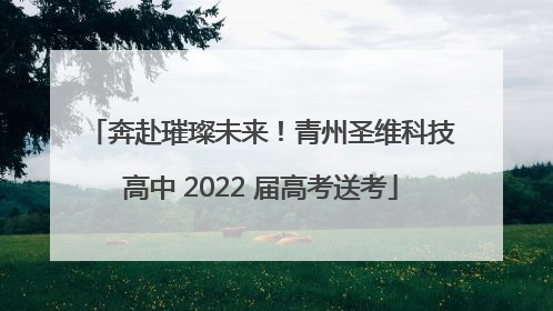 奔赴璀璨未来！青州圣维科技高中 2022 届高考送考