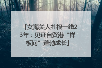 女海关人扎根一线23年：见证自贸港“样板间”蓬勃成长