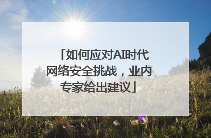 如何应对AI时代网络安全挑战，业内专家给出建议