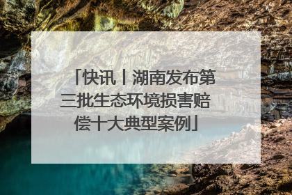 快讯丨湖南发布第三批生态环境损害赔偿十大典型案例