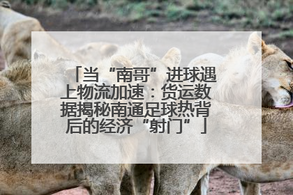 当“南哥”进球遇上物流加速：货运数据揭秘南通足球热背后的经济“射门”