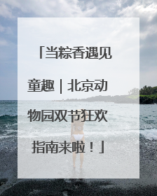 当粽香遇见童趣｜北京动物园双节狂欢指南来啦！