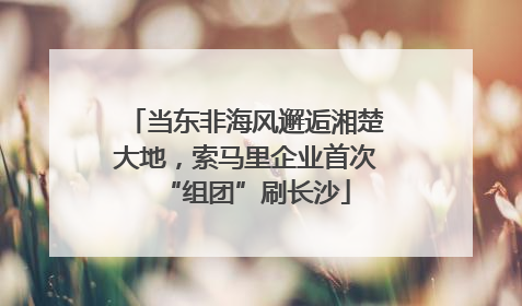 当东非海风邂逅湘楚大地，索马里企业首次“组团”刷长沙