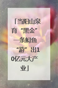 当阳山泉育“黑金” 一条鲟鱼“游”出10亿元大产业