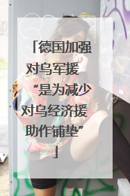 德国加强对乌军援 “是为减少对乌经济援助作铺垫”