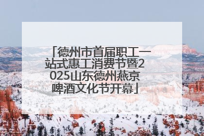 德州市首届职工一站式惠工消费节暨2025山东德州燕京啤酒文化节开幕