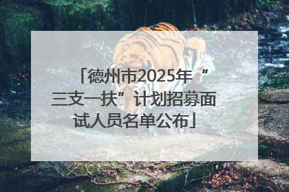 德州市2025年“三支一扶”计划招募面试人员名单公布