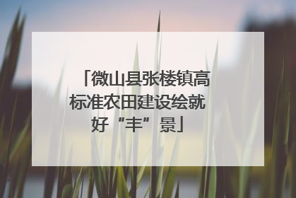 微山县张楼镇高标准农田建设绘就好“丰”景