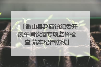 微山县赵庙镇纪委开展午间饮酒专项监督检查 筑牢纪律防线