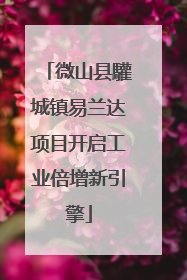 微山县驩城镇易兰达项目开启工业倍增新引擎