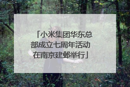 小米集团华东总部成立七周年活动在南京建邺举行