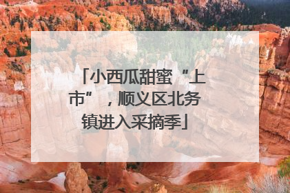 小西瓜甜蜜“上市”，顺义区北务镇进入采摘季