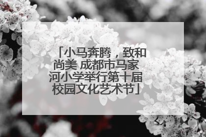 小马奔腾，致和尚美 成都市马家河小学举行第十届校园文化艺术节