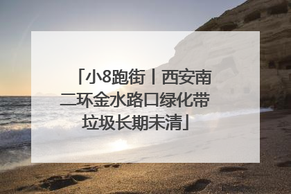 小8跑街丨西安南二环金水路口绿化带垃圾长期未清