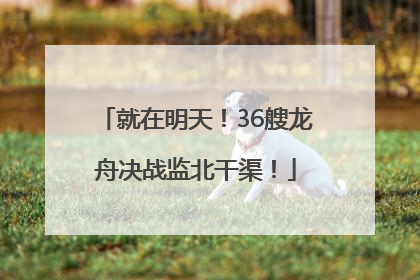 就在明天！36艘龙舟决战监北干渠！