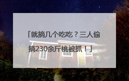 就摘几个吃吃？三人偷摘230余斤桃被抓！