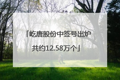 屹唐股份中签号出炉 共约12.58万个