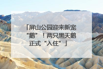 屏山公园迎来新宠“鹅”！两只黑天鹅正式“入住”