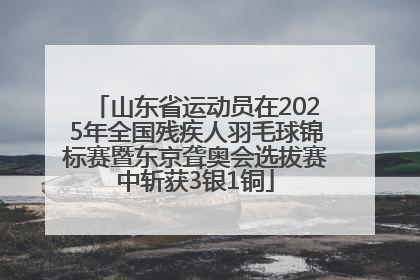 山东省运动员在2025年全国残疾人羽毛球锦标赛暨东京聋奥会选拔赛中斩获3银1铜