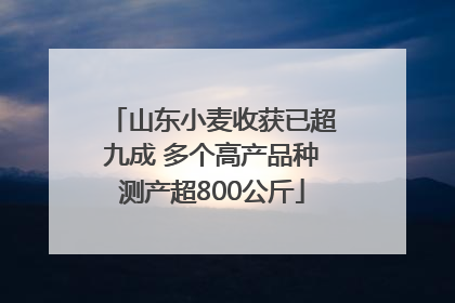 山东小麦收获已超九成 多个高产品种测产超800公斤