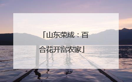 山东荣成：百合花开富农家