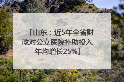 山东：近5年全省财政对公立医院补助投入年均增长25%