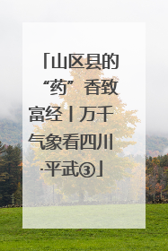山区县的“药”香致富经丨万千气象看四川·平武③