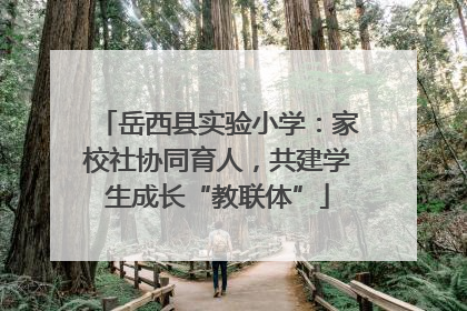 岳西县实验小学：家校社协同育人，共建学生成长“教联体”