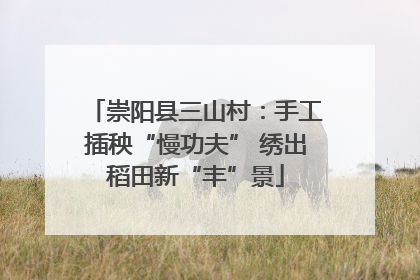 崇阳县三山村：手工插秧“慢功夫” 绣出稻田新“丰”景