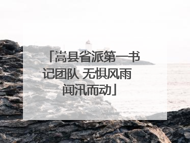 嵩县省派第一书记团队 无惧风雨 闻汛而动