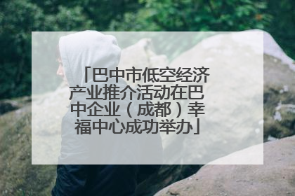 巴中市低空经济产业推介活动在巴中企业（成都）幸福中心成功举办