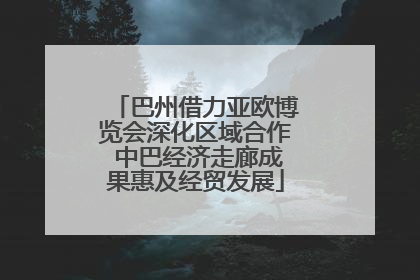 巴州借力亚欧博览会深化区域合作 中巴经济走廊成果惠及经贸发展