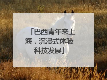 巴西青年来上海，沉浸式体验科技发展