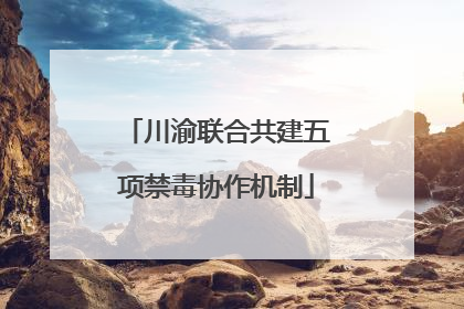 川渝联合共建五项禁毒协作机制