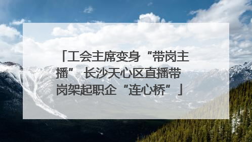 工会主席变身“带岗主播” 长沙天心区直播带岗架起职企“连心桥”