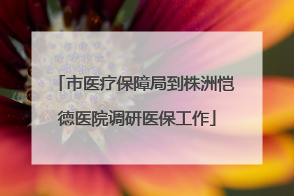 市医疗保障局到株洲恺德医院调研医保工作