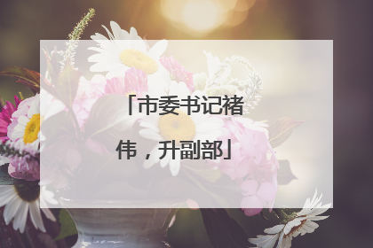 市委书记褚伟，升副部