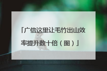 广信这里让毛竹出山效率提升数十倍（图）