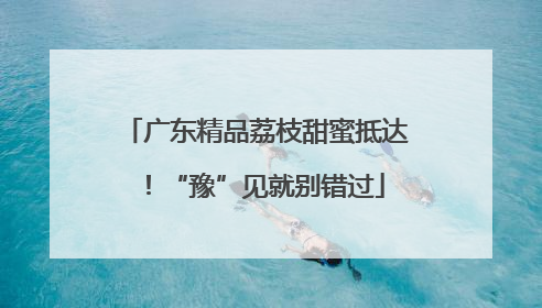 广东精品荔枝甜蜜抵达！“豫”见就别错过
