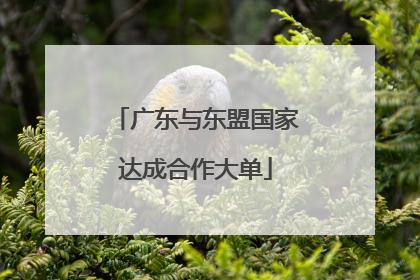 广东与东盟国家达成合作大单