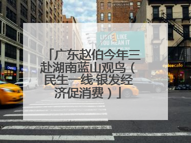 广东赵伯今年三赴湖南蓝山观鸟（民生一线·银发经济促消费）