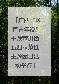 广西“区直青年说”主题宣讲暨五四示范性主题团日活动举行