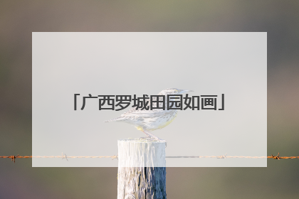 广西罗城田园如画